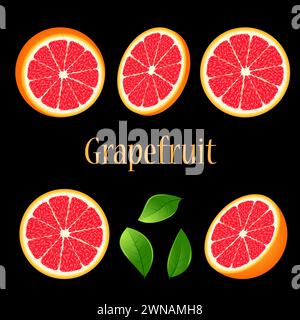 set - Sliced ripe red grapefruit and green leaves isolated on black. tropical fruits. Juicy grapefruit. Drawing in realistic style. For design of post Stock Photo