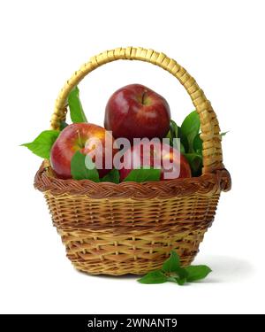 Ripe apples in the basket. Isolated on white. Close-up. Thanksgiving Day. Harvest. Gardening. Stock Photo