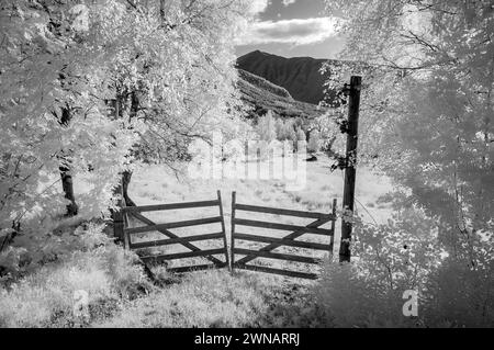 A tranquil infrared scene with a rustic gate, surrounded by ghostly trees in a mountainous region under a clear sky. Stock Photo