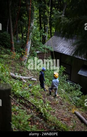 Forestry workers in the forest next to UNESCO World Heritage Gassho-zukuri Village of Ainokura, Japan Stock Photo