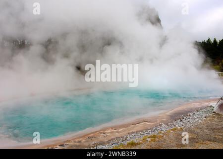 Geysers in the Wairakei Natural Thermal Valley on North Island, New Zealand Stock Photo