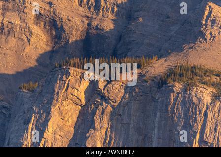 Sunset sky over Mount Rundle in Banff National Park during summer time with long daylight hours, blue, purple and pink tones above in wilderness area. Stock Photo