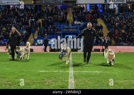 Warrington, UK. 01st Mar, 2024. The wolves come out before the game during the Betfred Super League Round 3 match Warrington Wolves vs Castleford Tigers at Halliwell Jones Stadium, Warrington, United Kingdom, 1st March 2024 (Photo by Craig Thomas/News Images) in Warrington, United Kingdom on 3/1/2024. (Photo by Craig Thomas/News Images/Sipa USA) Credit: Sipa USA/Alamy Live News Stock Photo