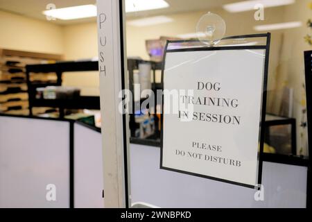 Sign on glass door alerting customers and visitors that there is a Dog Training in Session, Please Do Not Disturb; canine education in a pet store. Stock Photo