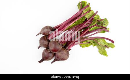 A pile of red young beets on a white table. The view from above. Fresh beets. Stock Photo