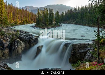 Sunwapta Falls in the stunning Canadian Rockies at sunrise in summertime with beautiful cascading waterfall in popular tourist, landscape area Canada. Stock Photo