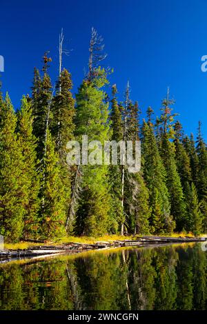 Charlton Lake, Deschutes National Forest, Oregon Stock Photo