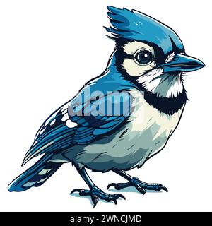 Blue jay bird. Vector illustration of a blue jay bird. Stock Vector