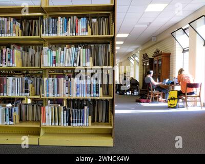 Bookshelves with books and library patrons working, reading, studying on tables in sunlight coming in through the window; library users with laptops. Stock Photo