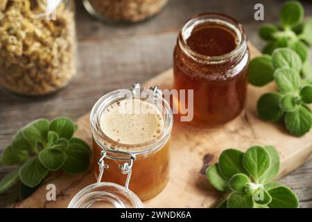 Two jars of homemade Plectranthus amboinicus syrup for common cold, with fresh plant Stock Photo