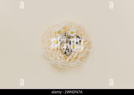 Eggs with daisy flowers in a nest on a yellow pastel background. Easter background. Place for text. Stock Photo
