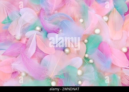Feather and oyster pearl abstract colorful background. Soft natural nature feminine composition. Stock Photo