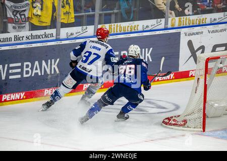 01.03.2024, DEL, Deutsche Eishockey Liga, Saison 2023/24, 50. Spieltag): Adler Mannheim gegen Schwenninger Wild Wings (1:4). Thomas Larkin (37, Schwen Stock Photo