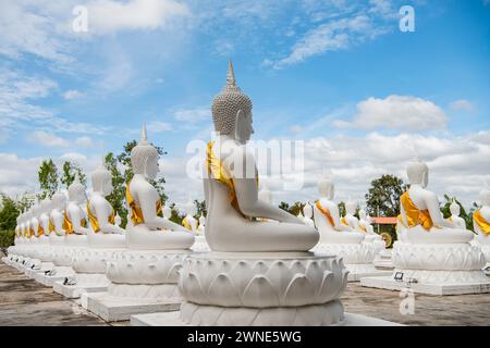 Whithe Buddha at Wat Bung Kee Lek at City of Khemmarat in Province of Ubon Ratchathani in Isan of Thailand.  Thailand, Khemmarat, November, 26, 2023 Stock Photo