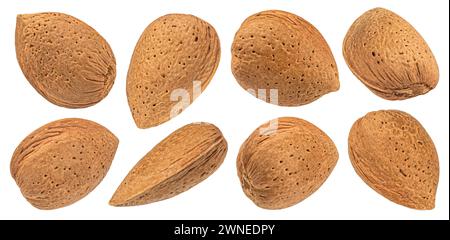 Almond nuts in shell isolated on white background Stock Photo