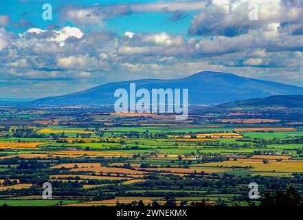 A multitude of fields in the Golden Vale, taken from the top of the Vee Gap,  Slievenamon,, County Tipperary, Ireland Stock Photo