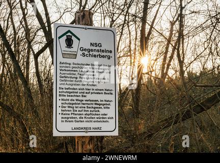 Frühblüher Winterlinge und Märzenbecher Naturschutzgebiet Zehling Ballenstedt Stock Photo