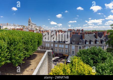 Europe, France, Centre-Val de Loire, Blois, Views across the City Centre towards St. Louis Cathedral from St. Saviour's Flowerbeds Stock Photo
