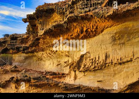 Banded Tumblagooda Sandstone with closely spaced Skolithos trace fossils, Kalbarri, Western Australia. Stock Photo