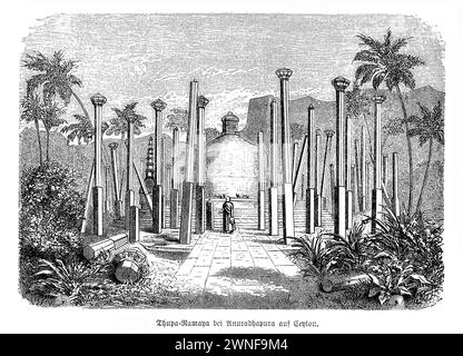 Thuparamaya buddhistische Tempel in Anuradhapura, Sri Lanka. Thuparamaya, nestled in the heart of Anuradhapura, Sri Lanka, stands as a beacon of Buddhist faith and history. As the first Buddhist temple on the island, built under the patronage of King Devanampiya Tissa in the 3rd century BC, it marks the inception of Buddhism's introduction to Sri Lanka. This ancient stupa, encircled by stone pillars, once supported a vibrant vatadage or round house, symbolizing the blend of spiritual reverence and architectural elegance. Today, Thuparamaya continues to draw pilgrims and history enthusiasts Stock Photo