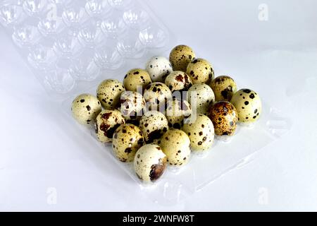 The picture shows colorful quail eggs, which lie in rows in a transparent boat, the tray is open. Stock Photo