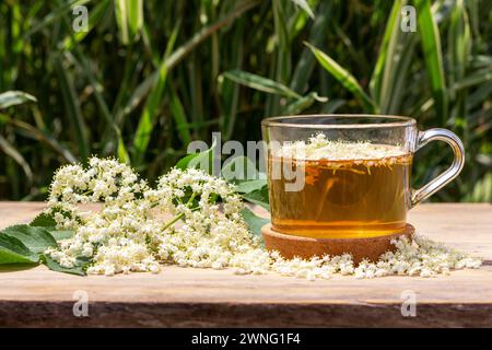 beverage from elderberry flowers in a cup on a natural background with a sprig of flowering elderberry close-up Stock Photo
