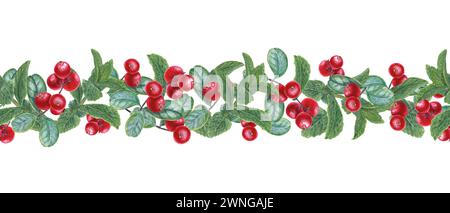 Mint and red berry. Seamless border. Banner with Lingonberries and Peppermint sprigs. Fragrant greens and juicy red cranberry. Watercolor illustration Stock Photo