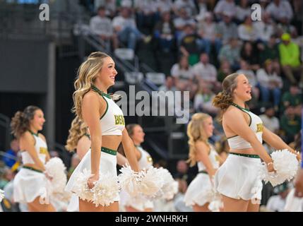 Waco, Texas, USA. 2nd Mar, 2024. Baylor Bears cheerleaders perform during the 1st half of the NCAA Basketball game between Kansas Jayhawks and Baylor Bears at Foster Pavilion in Waco, Texas. Matthew Lynch/CSM/Alamy Live News Stock Photo