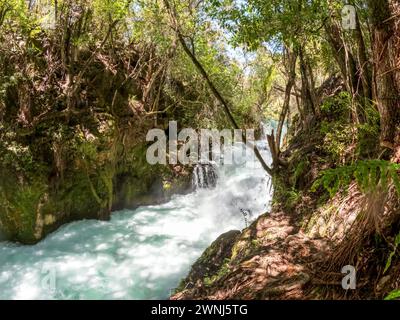 Tarawera Cascades : Where Lush Vegetation meets Clear Water of Tarawera River, Must See Waterfall in North Island, New Zealand Stock Photo