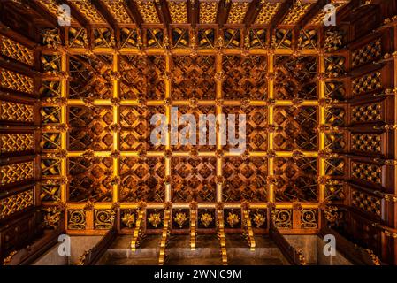 Wooden details on ceiling of the visiting room of the Palau Güell palace, a work designed by Antoni Gaudí (Barcelona, Catalonia, Spain) Stock Photo