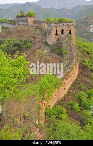 Ancient ecological wall, north China, elm ridge, the Great Wall Stock Photo