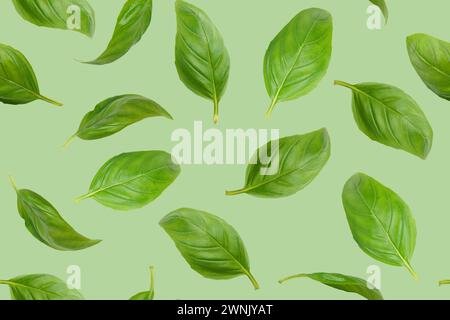 Fresh green organic basil leaves flying, isolated on green background. Creative food levitation, seamless pattern for design. Ingredient, spice for co Stock Photo