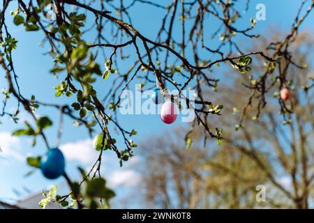 Tree branches in spring with colorful Easter eggs hanging on them Stock Photo