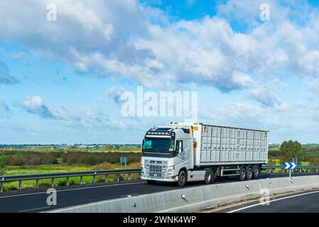 Truck with open-sided container traveling on the road, container for maritime transport with doors on its sides. Stock Photo