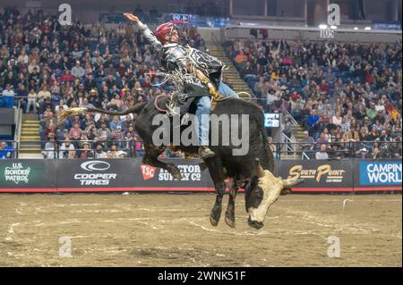 Bridgeport, United States. 02nd Mar, 2024. BRIDGEPORT, CONNECTICUT - MARCH 02: Eder Barbosa rides Joker during the Professional Bull Riders (PBR) Pendleton Whisky Velocity Tour event at Total Mortgage Arena on March 2, 2024 in Bridgeport, Connecticut. (Photo by Ron Adar/SOPA Images/Sipa USA) Credit: Sipa USA/Alamy Live News Stock Photo