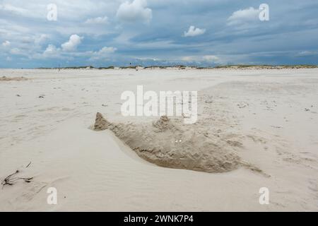 Sand sculpture of sawfish or shark on Kniepsand beach near Wittdun on Amrum island, North Frisia, Schleswig-Holstein, Germany Stock Photo