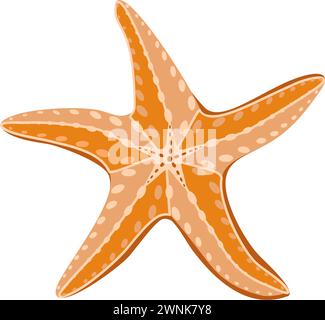 Starfish isolated on white background. Vector illustration in flat technique Stock Vector