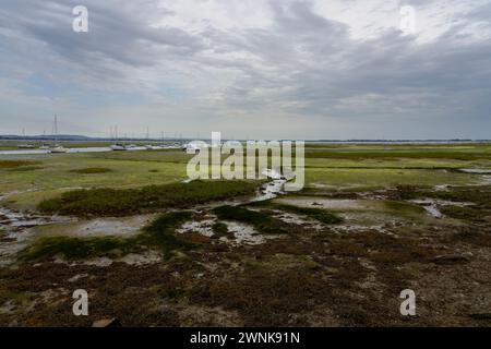 A dark, overcast summer morning looking out across the Mengham Salterns at low tide on Hayling Island, Hampshire. Stock Photo