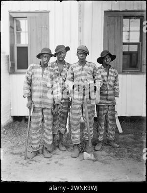 Florida convicts Leased to Harvest Timber. A chain gang of young African-American convicts in the Southern United States, circa 1903.    A common practice historically in the American South, prisoners would be chained together to perform menial or physically challenging work as a form of punishment. Chain gangs allowed prisoners to work in public outside of penitentiaries, satisfying the need for labor on government projects, such as railroads and roads Stock Photo