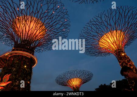 Singapore Chinese New Year Stock Photo