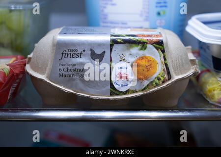 Tesco finest chestnut maran free range eggs on a fridge shelve in an egg carton, with a British Lion Quality logo on the side. UK Stock Photo