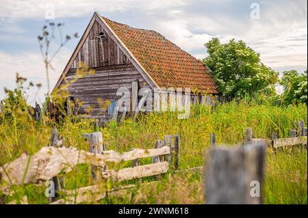 Detailed view of a dilapidated barn surrounded by blooming meadow flowers and clouds in the sky, Texel, Noord-Holland, Netherlands Stock Photo