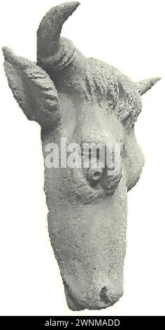 Statue head of bull or cow. Black polka dots halftone art elements for contemporary collage. Cut out trendy design, zine magazine style, Isolated on Stock Vector