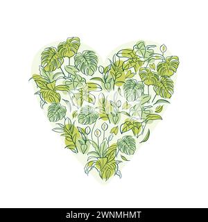 Ficus, Syngonium, Monstera, Spathiphyllum. Exotic plant. Home floriculture, house plants, hobby. Botanical illustration Tropical jungle untouched fore Stock Vector