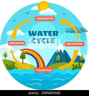 Water Cycle Vector Illustration with Evaporation, Condensation, Precipitation to Collection in Earth natural environment in Flat Cartoon Background Stock Vector