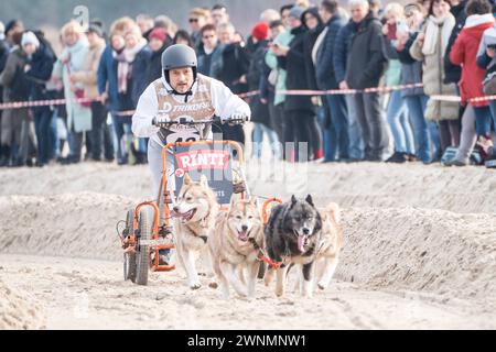 Baltic Lights 2024 auf in Heringsdorf auf der Insel Usedom Bernhard Bettermann, SchauspielerBaltic Lights 2024 auf in Heringsdorf auf der Insel Usedom Bernhard Bettermann, Schauspieler, Heringsdorf Mecklenburg-Vorpommern Deutschland Strand *** Baltic Lights 2024 in Heringsdorf on the island of Usedom Bernhard Bettermann, actor Baltic Lights 2024 in Heringsdorf on the island of Usedom Bernhard Bettermann, actor, Heringsdorf Mecklenburg-Vorpommern Germany Beach Stock Photo