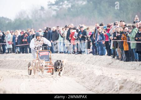 Baltic Lights 2024 auf in Heringsdorf auf der Insel Usedom Lars Pape, SchauspielerBaltic Lights 2024 auf in Heringsdorf auf der Insel Usedom Lars Pape, Schauspieler, Heringsdorf Mecklenburg-Vorpommern Deutschland Strand *** Baltic Lights 2024 in Heringsdorf on the island of Usedom Lars Pape, actor Baltic Lights 2024 in Heringsdorf on the island of Usedom Lars Pape, actor, Heringsdorf Mecklenburg-Vorpommern Germany Beach Stock Photo