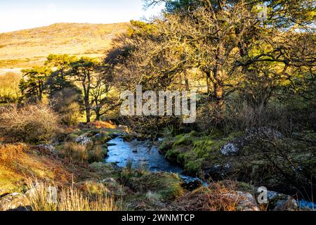 The Black-a-ven Brook flows to the north of East Okement Farm, to meet the East Okement River at Cullever Steps.  Dartmoor National Park, Devon, UK. Stock Photo