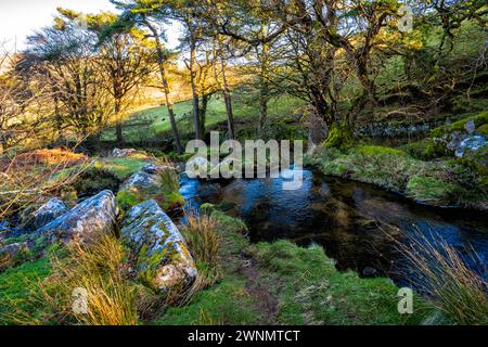 The Black-a-ven Brook flows to the north of East Okement Farm, to meet the East Okement River at Cullever Steps.  Dartmoor National Park, Devon, UK. Stock Photo