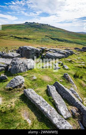 View of West Mill Tor, seen from Row Tor, Dartmoor National Park, Devon, England, UK. Stock Photo